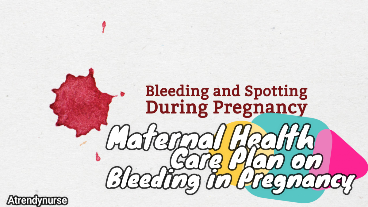 Maternal Health Care Plan On Bleeding In Pregnancy